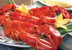 Lobster-Boiled