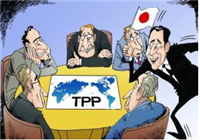 缺少中国的TPP，如何书写世界贸易体系的新篇章？