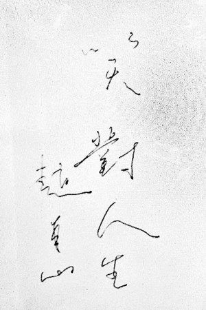 赵本山表情严肃 政协会上题字:笑对人生